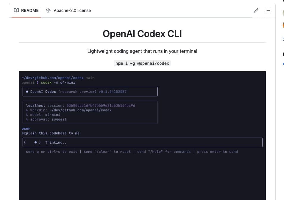 Codex CLI